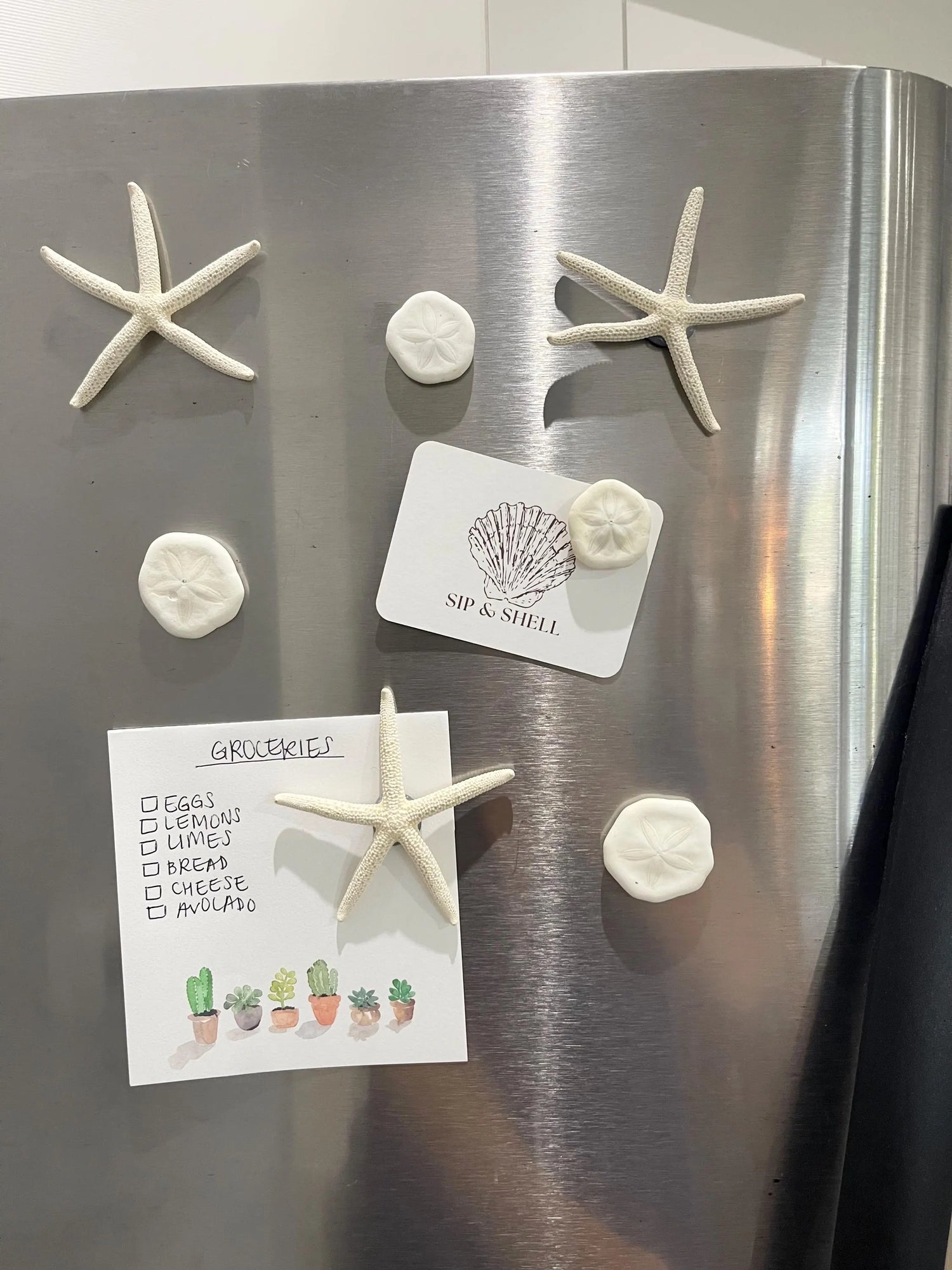 Shell Magnets
