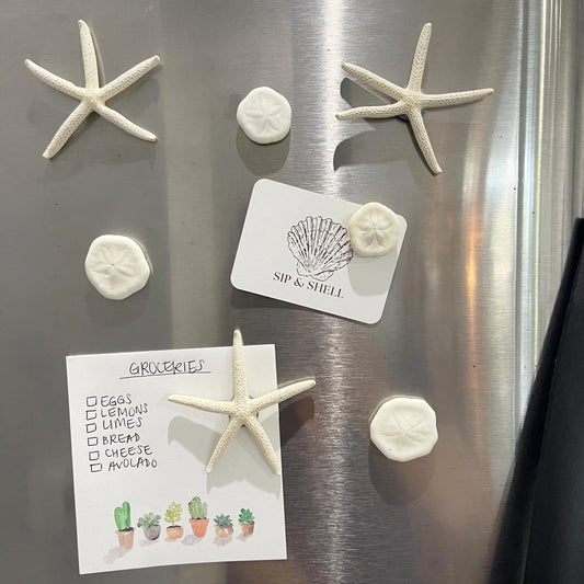 Starfish & Sea Biscuit Magnets