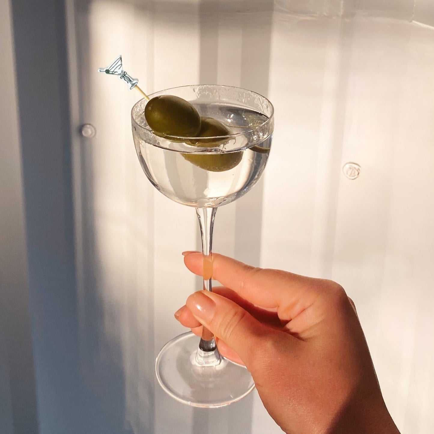 Dirty Martini Cocktail Picks