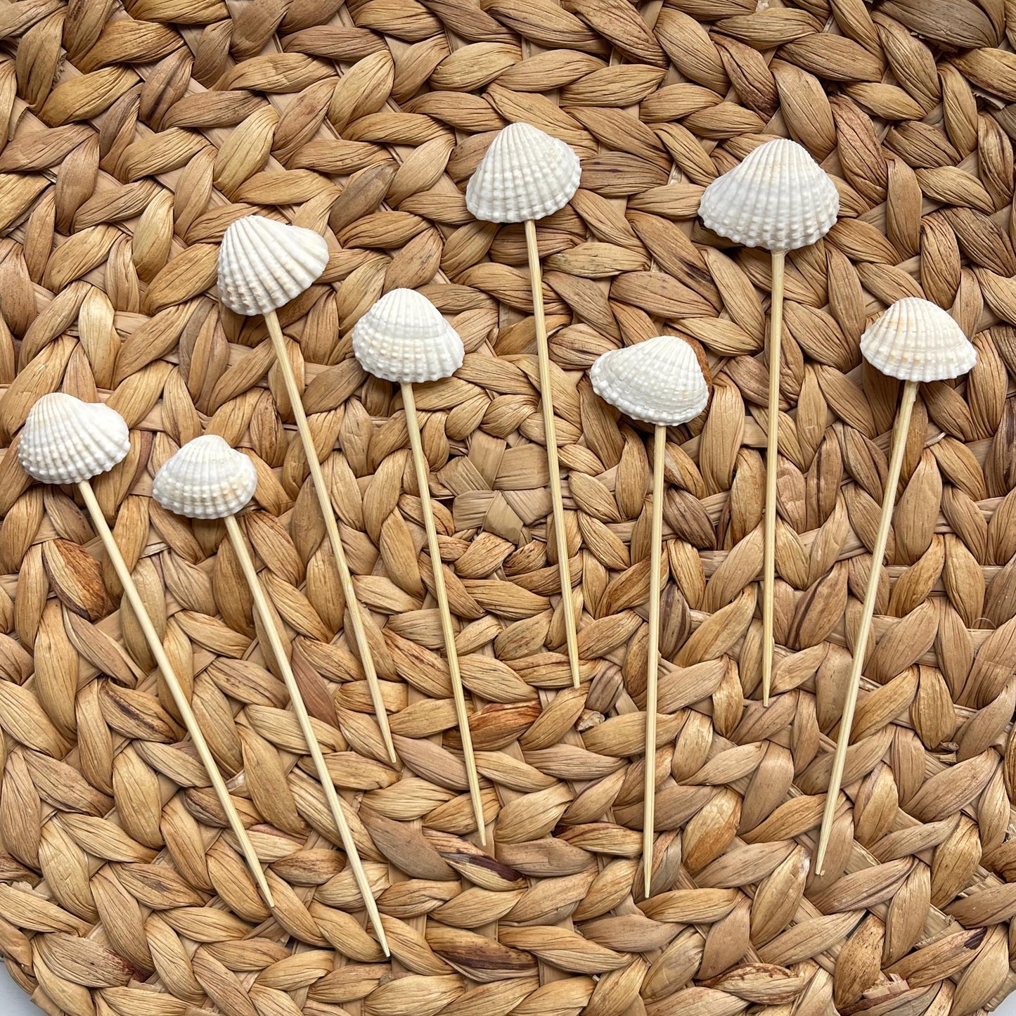 Shell Cocktail Picks